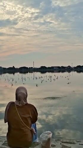 Egrets and quiet water at a Lhokseumawe waterfront