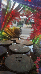 Decorative pond with stepping stones spotted in Vietnam