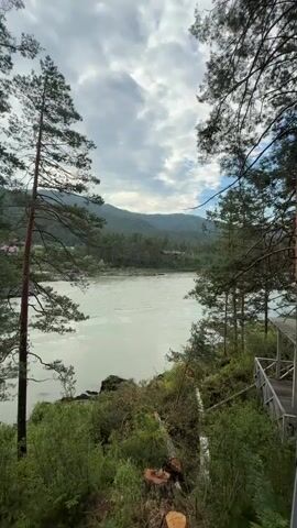 The video shows a scenic view of a wide, fast-flowing river bordered by lush green trees and mountains. The sky is cloudy, with breaks of sunlight peeking through. Tall pine trees are in the foreground, framing the view of the river and the distant landscape. There are some cut logs visible in the lower part of the frame, suggesting recent activity. A wooden walkway or stairs can be seen on the right side of the image. The overall impression is a natural, serene environment.