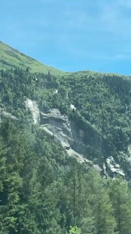 A video pans across a lush green mountainside under a bright blue sky. Tall, dark green evergreen trees dominate the foreground, with some appearing closer and more in focus than others. The middle ground of the mountain is covered in dense green foliage, interspersed with visible rock faces and patches of lighter green vegetation. Multiple thin, white streams of water, likely waterfalls, cascade down the rocky sections of the mountain, appearing as white streaks against the darker rock. In the distance, the mountain slopes upwards and becomes greener, with the sky visible above. A few tall, thin poles, possibly power line towers, are visible on the distant mountain ridge. The overall impression is of a scenic, natural mountain landscape with visible water features.