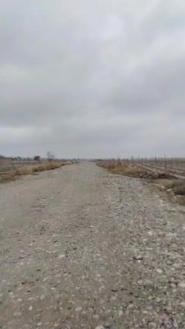 The video shows a gray gravel road leading away from the camera, with overcast skies above. The road is lined with sparse vegetation and what appear to be rows of poles, possibly supporting a vineyard or other agricultural structure, on the right. On the left, there is a glimpse of a building and some bare trees in the distance. The ground appears damp, suggesting recent rain or moisture. The atmosphere is bleak and the scene appears rural and somewhat desolate.