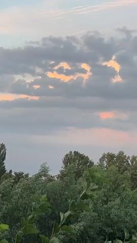 A vertical video displays a lush green forest bordering a body of water under a soft, cloudy sky painted with hues of orange and pink. The camera pans slowly from left to right, revealing a dense canopy of trees in the foreground and midground. The sky above is a blend of pale blue and gray clouds, with patches of warm sunset colors peeking through. The water's surface is visible through the trees on the right side of the frame. The overall scene is tranquil and natural, evoking a sense of peace and serenity.