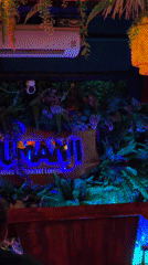 Jungle-themed JUMANJI restaurant interior documented in Nha Trang