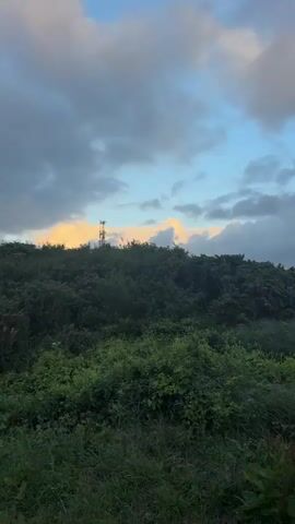The video presents a panoramic view of a coastal landscape, beginning with a close-up of lush green vegetation on a hillside under a partly cloudy sky with patches of blue. A distant communication tower is visible on the horizon amidst the greenery. The camera slowly pans from left to right, revealing an expansive vista. First, a town or city emerges in the middle distance, characterized by buildings and urban sprawl nestled within the green hills. The pan continues further, revealing the dramatic coastline of Fécamp, France. Towering white chalk cliffs stretch along the coast, meeting the clear, turquoise-blue ocean. The sky above the sea is largely covered by grey clouds, but a bright, golden patch of sunlight breaks through on the horizon, reflecting off the water. The immediate foreground remains dominated by dense green foliage and grasses, framing the scenic overview. No people are visible, and there is no discernible text. The scene captures a serene, natural environment with a dynamic sky, suggesting either early morning or late afternoon lighting.