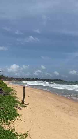 The video shows a tropical beach with golden sand and lush green vegetation along the left side. The ocean stretches out to the horizon, with gentle waves rolling towards the shore. Palm trees are visible in the distance, adding to the serene atmosphere. The sky is a vibrant blue, dotted with fluffy white clouds. A wooden post stands on the sand, adding a rustic element to the scene. The camera pans slowly across the beach, offering a panoramic view of the picturesque landscape. The overall impression is one of tranquility and natural beauty.