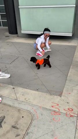 A group of three people, one woman and two men, are standing on a sidewalk. The woman is squatting, smiling, and holding something white. A small, black dog wearing an orange vest stands near her. One of the men is holding a phone. The sidewalk is concrete and there is a building behind the group. The dog then goes to smell the ground near the man with the phone. All three begin to walk to the right.
