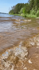 Shoreline conditions documented along Chaikovsky waterfront
