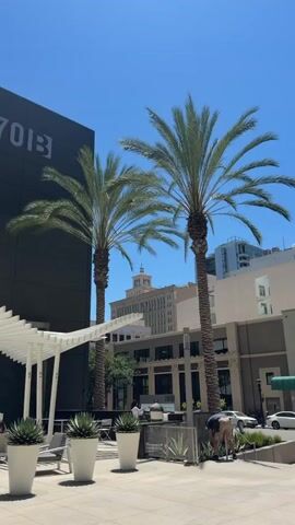 The video shows a sunlit outdoor plaza with a modern aesthetic. In the foreground, several large white planters containing agave plants are arranged on a paved ground. To the left, a dark-colored building displays the number "7013" in large white lettering. In the center of the frame, a white slatted pergola offers shade over an area with seating. Two tall palm trees stand prominently in the middle ground. In the background, other buildings, including one with a dome-like structure, are visible under a clear blue sky. A person in a light-colored shirt and dark shorts is seen tending to a plant or cleaning in the lower right portion of the video. Other individuals are seated at tables under the pergola, and a few cars are visible in the distance on a street. The overall atmosphere is bright and urban.
