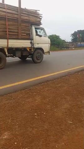 A white truck with a very full load of lumber is driving on a paved road. The truck is moving away from the camera and to the left. The truck has a flatbed and a small cab. The lumber is stacked very high and secured with wooden poles. The truck is on the right side of the road, and there is a yellow line marking the center of the road. The road is flanked by a dirt shoulder on the right and a grassy area on the left. In the background, there are trees and buildings. The sky is overcast.
