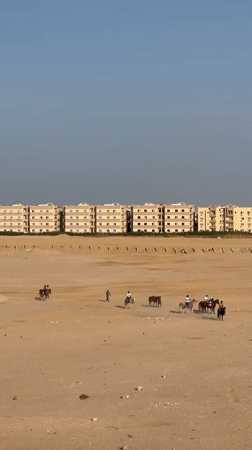 Al Ahia', Egypt
