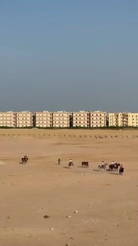 A group of people are riding horses in a large, sandy area. In the background, there are several multi-story buildings. The sky is clear and blue. The horses appear to be moving in various directions, with some individuals riding alone and others in small groups. A single person is standing on foot in the middle of the scene. The overall impression is of an outdoor recreational activity taking place in a relatively undeveloped or open area adjacent to a residential zone.