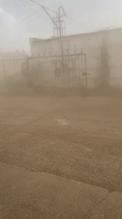 Dust storm and dog interaction recorded at same location