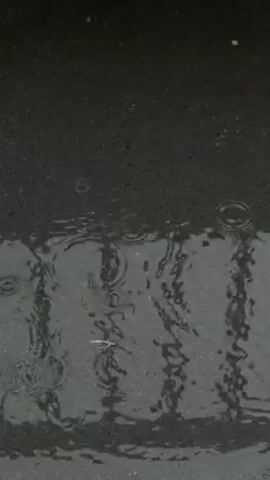 The video shows a close-up of a dark, asphalt surface with a puddle of water. Raindrops fall into the puddle, creating ripples. A reflection of vertical bars is visible in the water. A small, pale object, possibly a leaf or twig, floats in the puddle. The lighting is dim and overcast.