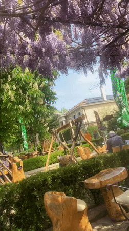 Man enjoys drinks at wisteria-covered cafe in Varna