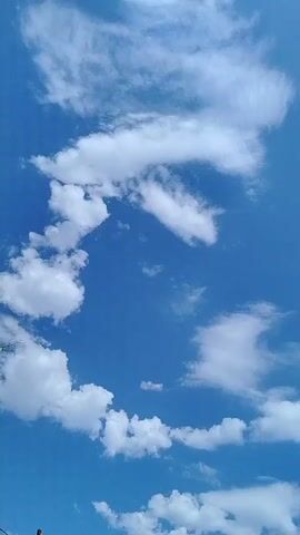 The video captures a clear blue sky dotted with fluffy white clouds. The camera appears to be tilted upwards, focusing on the expanse of the sky. In the bottom right corner of the frame, the tops of green trees are visible, suggesting an outdoor setting. The clouds drift slowly across the sky, with some appearing more wispy and elongated, while others are more compact and rounded. The overall impression is one of a pleasant, sunny day.