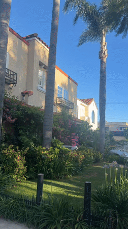 Residential property with palm trees filmed in Los Angeles