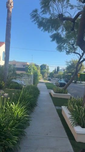 Residential property with palm trees filmed in Los Angeles
