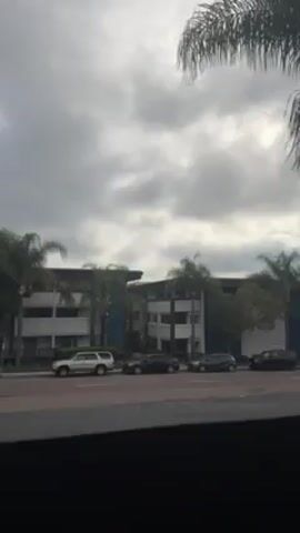 From a stationary vantage point, the camera pans upward from street level to reveal a covered balcony with wicker furniture, and then a row of tall palm trees. The sky is overcast. Cars are parked along the street, and a multi-story building is visible in the background.