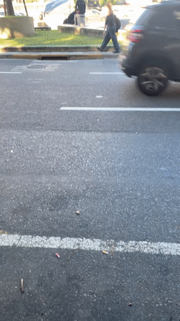 Traffic officer stands on zebra crossing in Buenos Aires