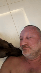 Morning domestic life with Belgian Malinois in Thai home