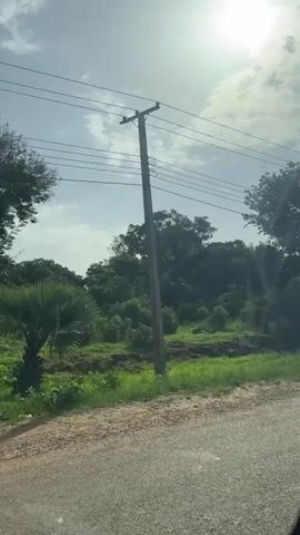 The video shows a view from a vehicle moving along a dirt road. The sun is bright and high in the sky, with some clouds visible. On the left side of the road, there is lush green vegetation and trees. In the distance, there are power lines and utility poles. As the vehicle continues, the scenery changes slightly, with more trees and some buildings appearing on the right side of the road. There are also a few vehicles visible parked near the buildings. The overall impression is of a rural or semi-rural environment.