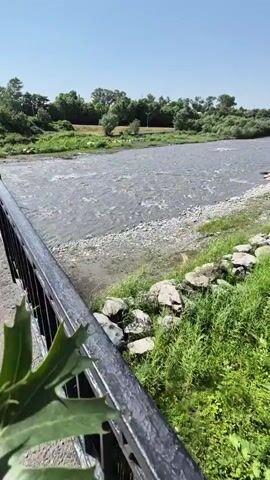 A video shows a river flowing under a clear blue sky. The river is wide and shallow, with a rocky bed. The banks of the river are lined with green grass and trees. A black metal railing runs along the foreground of the video.