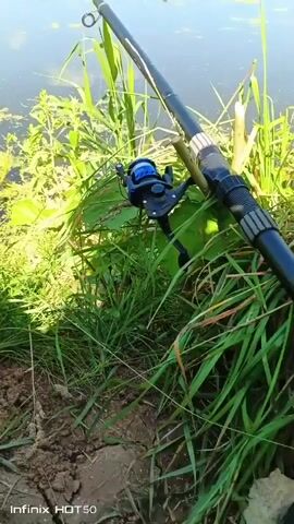 A fishing rod rests on the grassy bank of a body of water. The rod is black and has a blue fishing reel attached. Green reeds and grass surround the rod and reel. The water is calm with some scattered green aquatic plants. In the background, a green grassy hill slopes upwards under a bright blue sky. The scene appears to be a peaceful outdoor setting.