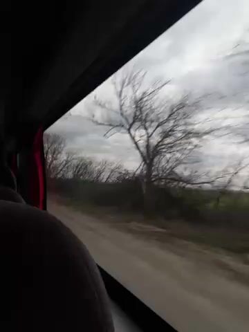 The video shows a view from a car window moving along a road. Bare trees are visible outside, with green fields beyond. The sky is overcast. The camera is shaking slightly. The interior of the car is visible, including a maroon seat.