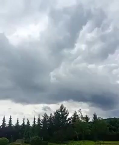 A video shows a cloudy sky over a line of trees and a house. The clouds are dark and appear to be moving. There are no people or actions visible in the video.