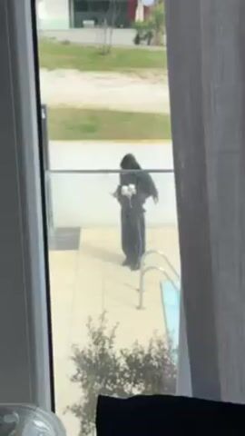 From behind a partially-drawn white curtain, a person stands on a tiled patio holding several white objects. The person wears dark clothing including what appears to be a large shawl or cloak. They are positioned next to a swimming pool with silver metal ladders. The pool water appears blue. Beyond the patio and pool, there is a short white wall. Beyond the wall is a grassy area and a multi-story building with a section painted light green and another section with red accents. A small tree is in the foreground near the window.