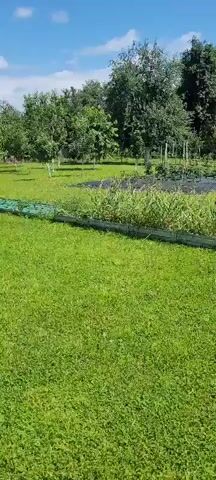The video shows a well-maintained garden with several raised beds filled with plants. The grass is neatly cut, and trees surround the garden. The sky is blue with some clouds, suggesting a pleasant day. The garden appears to be in a rural or suburban setting.