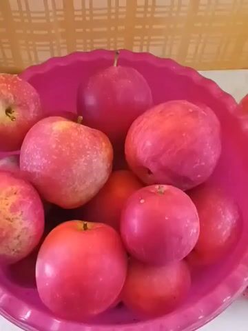 A close-up shot shows a pink plastic bowl filled with numerous bright red apples. The bowl has a scalloped edge and sits on a light-colored surface, possibly a table or counter. In the background, a wall with a light brown and white checkered pattern is visible. The lighting is bright and appears to be coming from above, casting subtle shadows on the apples and the bowl. The video focuses on the fruit, showcasing its vibrant color and texture. There are no people or any other objects clearly visible in the frame besides the apples and the bowl. The video appears to be a static shot, with no discernible movement or camera panning.