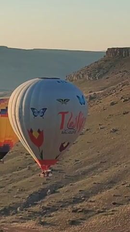 A large, white hot air balloon, adorned with red tulips, blue butterflies, and a moth illustration, floats prominently in the frame. The text "Tulip Balloons" is clearly visible on its side. To the left, a portion of another hot air balloon, striped in yellow and orange, is partially visible.

The scene depicts a vast, undulating landscape characterized by rolling hills and rocky outcrops, hinting at a mountainous or valley region. The ground is covered with sparse, dry-looking vegetation, suggesting a semi-arid environment. In the background, a distinct mesa or cliff formation stands against the horizon.

The soft, warm light bathing the scene suggests either early morning or late afternoon, likely sunrise, a common time for hot air balloon flights. The sky above is clear, indicating fair weather conditions. The hot air balloons are airborne, implying an ongoing flight or ascent over the picturesque landscape.

The overall setting is serene and grand, typical of popular hot air ballooning destinations. The provided context of Yeşilhisar, Turkey, aligns well with the visual cues, as this region (Cappadocia) is renowned for its unique geological formations and hot air balloon tourism.
