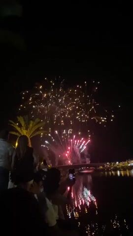 This is a vertical video capturing a fireworks display at night. A dark body of water is in the foreground, reflecting the light of the fireworks. On the left bank of the water, several people are visible from the back, silhouetted against the night sky and the bright explosions of the fireworks. One person in the foreground is holding up a phone to record the event. In the background, across the water, there are lights from buildings and a bridge. A palm tree is also visible on the left bank, its fronds illuminated by the fireworks. The fireworks themselves are colorful, with bursts of white, yellow, and pink against the dark sky.