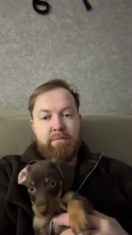 A man with reddish hair and a beard is sitting on a beige couch, holding a small brown and tan puppy. The puppy is licking the man's face. The background features a gray textured wall with a black clock on it. The man is wearing a dark-colored zip-up sweater.