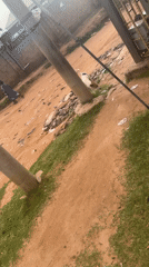 Daily life glimpses captured across Jalingo Nigeria streets