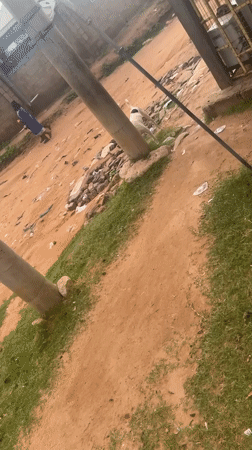 Daily life glimpses captured across Jalingo Nigeria streets