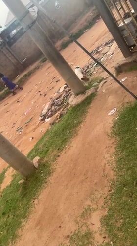 Daily life glimpses captured across Jalingo Nigeria streets