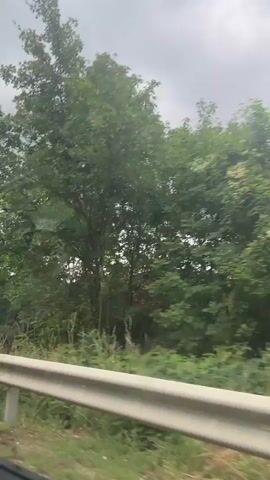This is a first-person perspective video recorded from a moving vehicle. The video shows a roadside scene with green trees and foliage. The sky is overcast with gray clouds. A white metal guardrail is visible in the foreground. The movement of the vehicle creates a blurred effect on the surrounding scenery, indicating motion. There are no people or specific objects of interest clearly visible within the frame, apart from the natural environment and the guardrail. The overall atmosphere is neutral and focuses on the passing landscape.