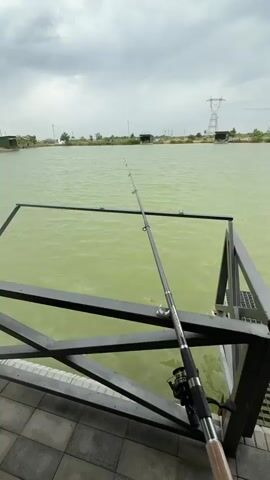 From a first-person perspective, the video shows a fishing rod propped up against a metal railing overlooking a large, murky green pond. The sky is overcast with gray clouds. Across the pond, there are small, wooden structures and a power line tower is visible in the distance. The pond is surrounded by greenery. There are unintelligible voices heard throughout the video.