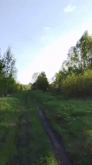 Cyclist rides dirt path through Russian countryside fields