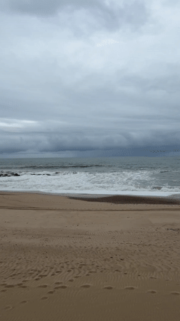 Overcast beach scene recorded in Vila Nova de Gaia