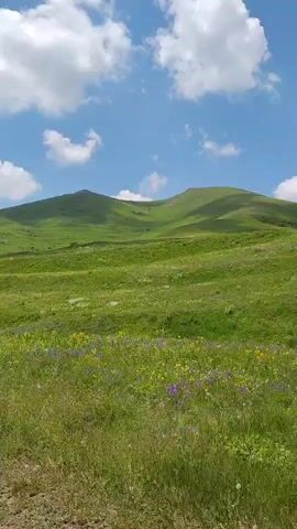 A video shows a silver SUV parked on a dirt road. A woman wearing a white hat, a dark tank top, and white pants is standing on the roof of the SUV. The SUV is facing the camera. The background is a green, rolling hill with patches of purple and yellow flowers. The sky is blue with white, fluffy clouds. The video pans slightly to the left and right.