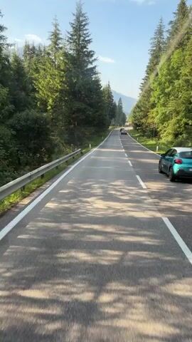 The video shows a view from a vehicle driving down a paved road that winds through a forest. Tall evergreen trees line both sides of the road, casting dappled shadows on the asphalt. A metal guardrail runs along the left side of the road. In the distance, a few cars can be seen traveling in the same direction. The sky is blue with some clouds, and mountains are visible in the far distance. The sun is shining, creating bright highlights and shadows.