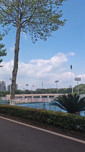 Morning view of tennis court and buildings in Chongqing
