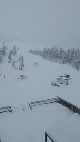 The scene is a snow-covered ski resort on a day with active snowfall.  Several snow groomers, are working on the hill.  Some skiers and snowboarders are on the slope.  A lone figure stands in the foreground near the base of the hill. A small dog is moving about on the slope, near the groomers. A building is visible on the right side of the frame.  The view is from an elevated position, likely a balcony or window.