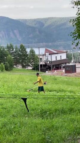A person is mowing a field with a string trimmer. The person is wearing a yellow shirt and green shorts, and a black hat. The field is covered in green grass. In the background, there is a white building with a red roof, and mountains. There is a black object hanging in the foreground, possibly a piece of clothing. The weather is overcast.