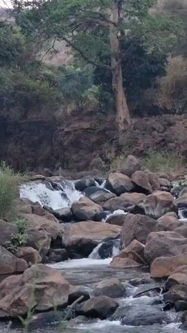 The video shows a rocky stream with water cascading over the rocks, surrounded by trees and greenery. The camera pans slightly along the stream, focusing on the water flowing around the rocks. The lighting suggests it might be early morning or late afternoon.