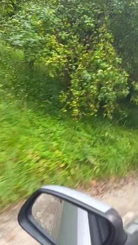 This video shows a view from inside a vehicle, likely a car, driving on a dirt or gravel road through a wooded area. The road is narrow and curves to the right. Dense green foliage, including trees and grass, lines both sides of the road. The sky is overcast. The front of the vehicle, including part of the hood and windshield, is visible in the foreground. The camera appears to be mounted on the dashboard or dashboard area, providing a forward-facing perspective of the drive. The motion is smooth, indicating the vehicle is traveling at a steady pace.