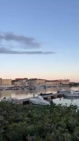 The video shows a view of a harbor at dusk. In the foreground is a hedge of green bushes. Beyond the bushes, there is a harbor filled with small boats docked at a pier. In the background, there are buildings in yellow and white. The sky is blue with some light clouds. The water is calm and reflects the buildings and sky. There are sounds of children playing in the background.